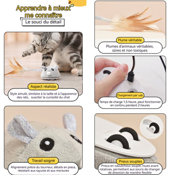 Jouet souris électrique jouets pour animaux de compagnie pour chats  amuser et divertir des produits pour animaux rechargeable